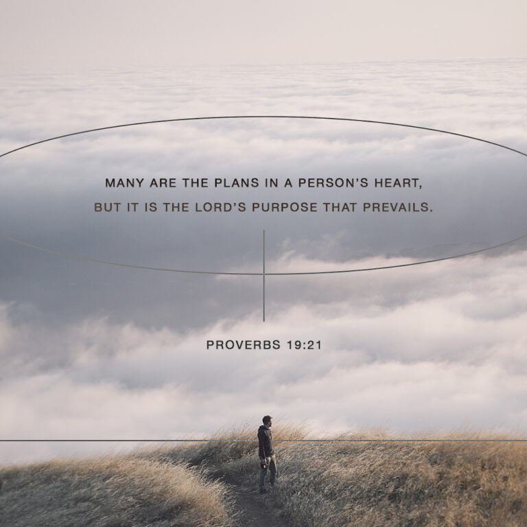 Verse image for Proverbs 19:21