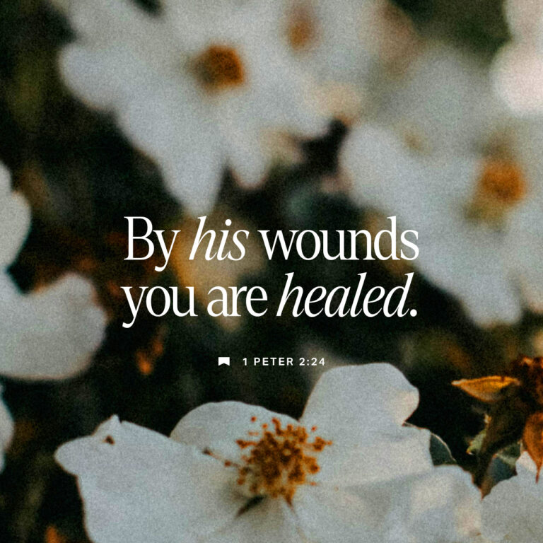 Verse image for 1 Peter 2:24